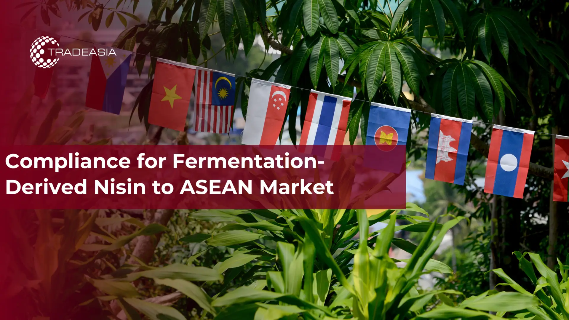 Tuân thủ đối với Nisin có nguồn gốc từ lên men cho thị trường ASEAN