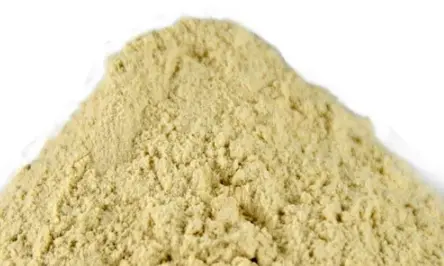 Gluten lúa mì quan trọng