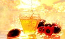 Dầu hạt nhân cọ RBD