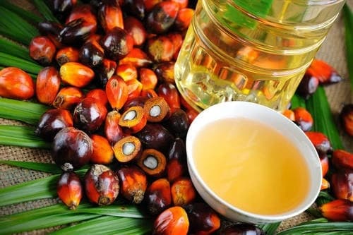 Dầu cọ RBD
