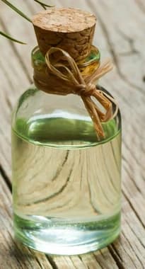Dầu nhựa thông kẹo cao su (80%)
